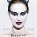 黑天鵝 (Black Swan)電影圖片3