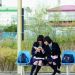 花水木電影圖片 - hanamizuki_movie_28_1298080464.jpg