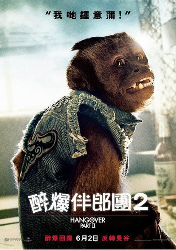醉爆伴郎團2電影圖片 - Hangover2011_1305694297.jpg
