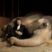 情約奇藝坊 (Water for Elephants)電影圖片5
