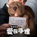 海報及劇照