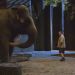 精裝群獸追女仔 (Zookeeper)電影圖片2