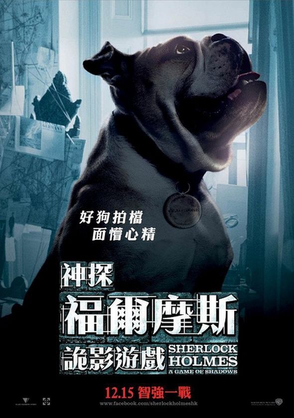 神探福爾摩斯:詭影遊戲電影圖片 - SherlockHolmesAGameofShadows_23_1321606882.jpg