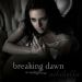 吸血新世紀4破曉傳奇上集 (Twilight Saga: The Breaking Dawn - Part 1)電影圖片2