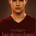 吸血新世紀4破曉傳奇上集 (Twilight Saga: The Breaking Dawn - Part 1)電影圖片4