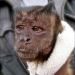 翻身動物園電影圖片 - WeBoughtaZoo_01_1321608604.jpg