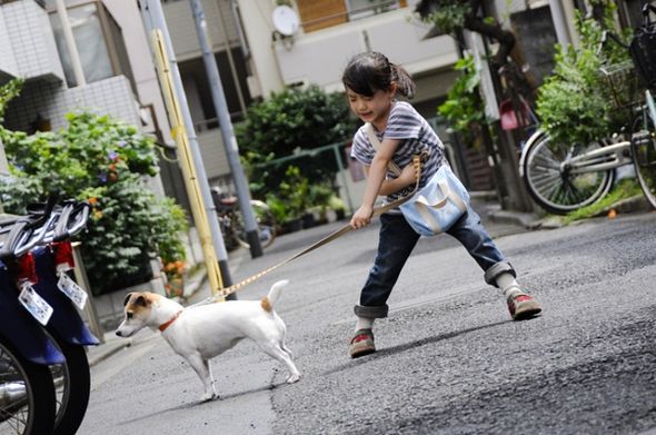 狗狗物語電影圖片 - HappyTogetherAllAboutMyDog_18_1323159333.jpg