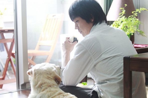狗狗物語電影圖片 - HappyTogetherAllAboutMyDog_19_1323159334.jpg