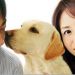 狗狗物語電影圖片 - HappyTogetherAllAboutMyDog_02_1323159318.jpg