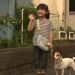 狗狗物語電影圖片 - HappyTogetherAllAboutMyDog_14_1323159329.jpg
