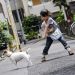 狗狗物語 (Happy Together – All About My Dog)電影圖片3