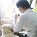狗狗物語 (Happy Together – All About My Dog)電影圖片2