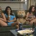 海報及劇照