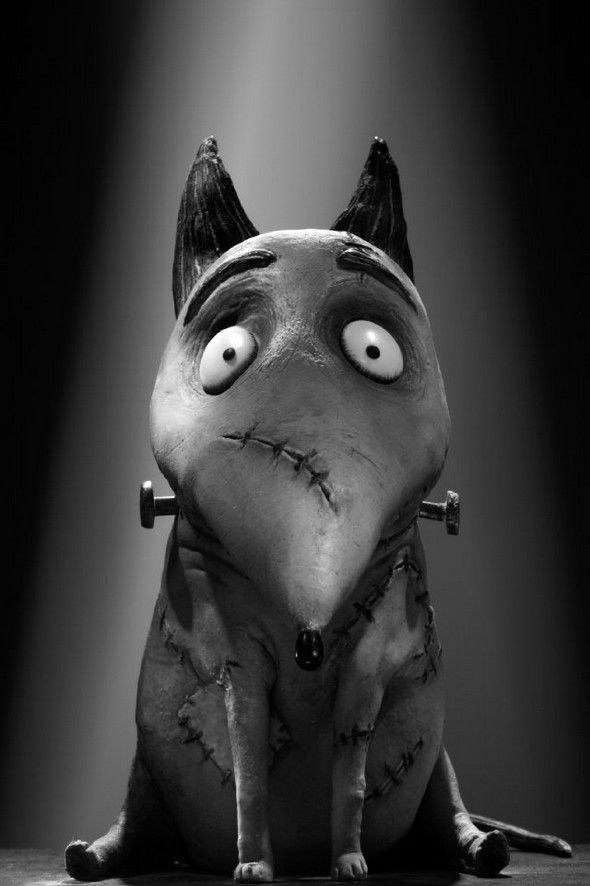 3D 怪誕復活狗電影圖片 - Frankenweenie_1347015609.jpg