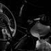 3D 怪誕復活狗 (Frankenweenie)電影圖片6
