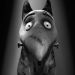 3D 怪誕復活狗電影圖片 - Frankenweenie_1347015609.jpg