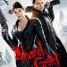 3D 格林雙俠：獵巫世紀 (Hansel and Gretel: Witch Hunters)電影圖片2