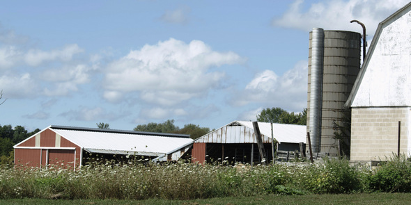 勝利人生電影圖片 - 000_LovelandFarm_1365392337.jpg