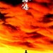 黃飛鴻 (Once Upon A Time In China)電影圖片1
