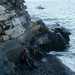 這個夏天真太冷 (How I Ended This Summer)電影圖片3