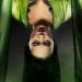 浪魂47 (3D版)電影圖片 - 47Ronin_online1sheet_Woman_1375071997.jpg