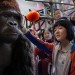 超級巨猩 (3D 粵語版) (Mr.Go)電影圖片3