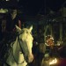 獨行俠 (Lone Ranger)電影圖片6