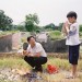 海報及劇照