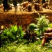 西遊記之大鬧天宮 (3D 版)電影圖片 - 1400_282429_2_1389008852.jpg