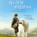 海報及劇照