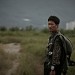 海報及劇照