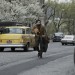 知音夢裡行 (Inside Llewyn Davis)電影圖片5