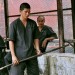 突擊死亡塔2：黑金任務 (The Raid 2: Berandal)電影圖片2