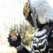 平成對昭和 幪面超人大戰feat.超級戰隊 (日語版) (Heisei Rider vs. Showa Rider: Kamen Rider Taisen feat. Super Sentai)電影圖片4