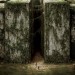 移動迷宮 (2D版) (The Maze Runner)電影圖片2