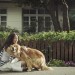 海報及劇照
