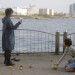 海報及劇照