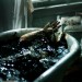 鬼前身 (Jessabelle)電影圖片5