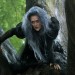 魔法黑森林 (Into The Woods)電影圖片2