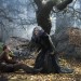 魔法黑森林電影圖片 - Into_The_Woods_00670_R_1418627868.jpg