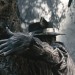 魔法黑森林 (Into The Woods)電影圖片3