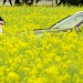 我的早更女友電影圖片 - E4BD9FE5A4A7E4B8BAE6B2B9E88F9CE88AB1E794B0E4B8ADE6909EE680AAE689AEE8908C_1423102932.jpg