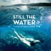 第二扇窗 (Still the Water)電影圖片1