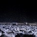 狼圖騰電影圖片 - WT002_1425359061.jpg
