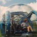 侏羅紀世界 (2D版) (Jurassic World)電影圖片6
