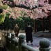 道士下山電影圖片 - 11WangBaoqiangastheMonk28HeAnxia29andAaronKwokasZhouXiyu05_1436496874.jpg