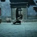 道士下山 (Monk Comes Down The Mountain)電影圖片2