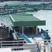 迷城 (Wild City)電影圖片3