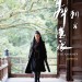 海報及劇照