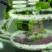 劇場版 蒼藍鋼鐵戰艦Cadenza (Arpeggio of Blue Steel -ARS NOVA- Cadenza)電影圖片4